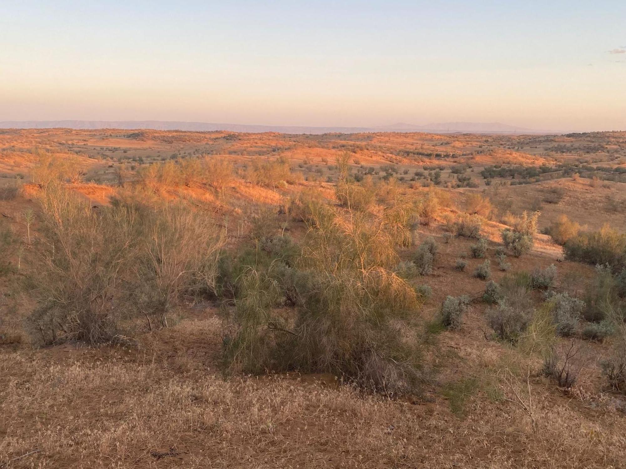Authentic Uzbek Yurt Camp Eco-Friendly Ξενοδοχείο Nurota Εξωτερικό φωτογραφία